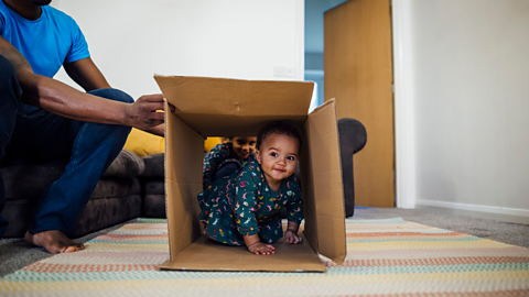 An intrepid baby wearing pyjamas crawls through an open cardboard box supported by their father.