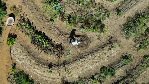 Stephania Corpi Arnaud Aerial view of a Grupedsac worker in Ejutla de Crespo on 8 December 2023 (Credit: Stephania Corpi Arnaud)