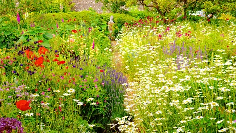 Getty Images Charleston's garden, with its bold colours and abstract patterns, was designed by the painter Roger Fry (Credit: Getty Images)