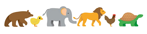 In order, a bear, chick, elephant, lion, chicken and tortoise