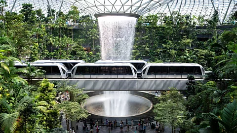 Alamy The interior garden of the Shiseido Forest Valley (Credit: Alamy)