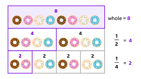 A bar model showing 8 doughnuts in the whole, 4 in a half and 2 in a quarter.
