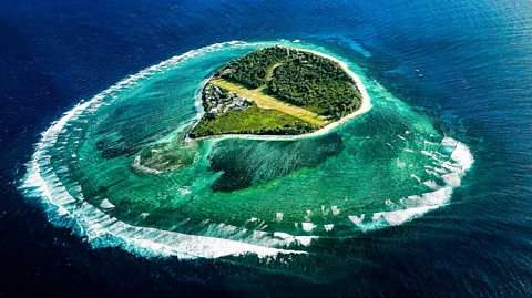 Getty Images Some of Australia's best natural experiences are found below the surface of its seas, like the Great Barrier Reef (Credit: Getty Images)