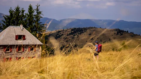 Alamy The fermes-auberges in the Vosges mountains are connected by a series of ancient trails (Credit: Alamy)