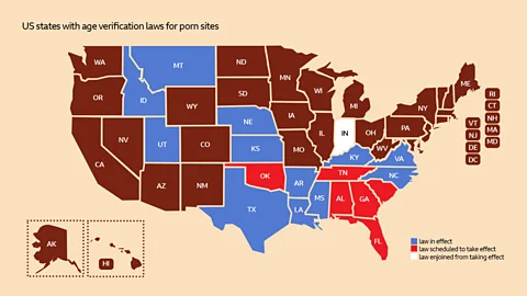 Serenity Strull/BBC/The Free Speech Coalition Nineteen states have passed age verification laws for porn sites. Lawmakers proposed similar bills at the national level (Credit: Serenity Strull/BBC/The Free Speech Coalition)