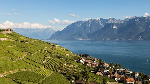 Getty Images The Lavaux vineyards are a Unesco-inscribed cultural treasure (Credit: Getty Images)