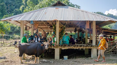 Millo Ankha The Adi indigenous community in Arunachal Pradesh, India, view the mithuns as sacred (Credit: Millo Ankha)