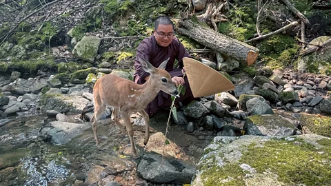 Kate Schoenbach A Blue Cliff Monastery retreat includes a walking meditation in the forest (Credit: Kate Schoenbach)