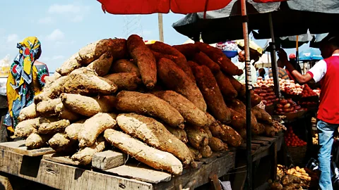 Lola Akinmade Nigeria's constant consumption of yam is believed to be responsible for its high twin birth rate (Credit: Lola Akinmade)