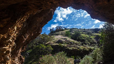 Alamy The Chumash once lived in caves and dwellings across the northern Channel Islands and likely descend from some of the Americas' first settlers (Credit: Alamy)