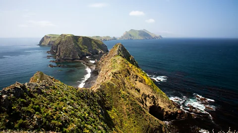 Alamy The Channel Islands are known as "the Galapagos of North America" and comprise eight picture-perfect isles (Credit: Alamy)