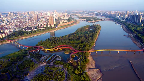 Kongjian Yu/Turenscape Yanweizhou park in Jinhua, China, has a rice-terrace-like bank planted with grasses that can adapt to underwater environments and reduce flooding (Credit: Kongjian Yu/Turenscape)