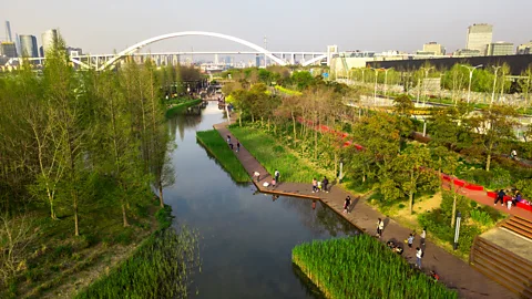 Kongjian Yu/Turenscape Houtan Park in Shanghai, China, is built on a formerly polluted site, also features rice terrace-like features and helps purify polluted water (Credit: Kongjian Yu/Turenscape)