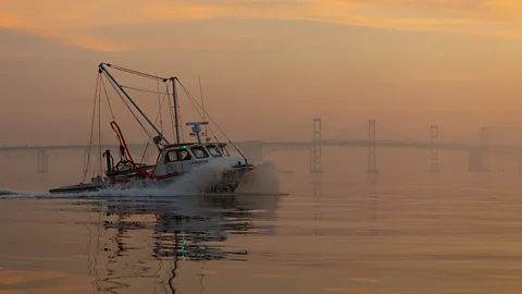 Jay Fleming Fishing boat on the ocean with bridge behind it (Credit: Jay Fleming)