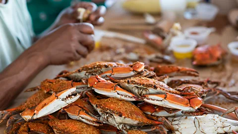 Jay Fleming Across much of the US, the state of Maryland is synonymous with crabs from the Chesapeake Bay (Credit: Jay Fleming)