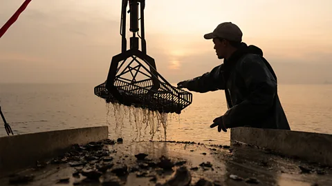 Jay Fleming Today, McFadden is one of the youngest watermen continuing on a more-than-400-year-old tradition (Credit: Jay Fleming)