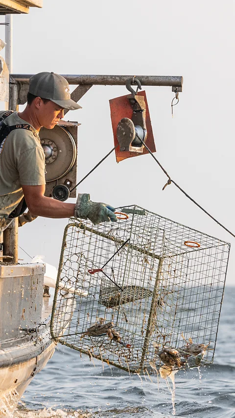 Jay Fleming McFadden thinks he may be among the last watermen to work on the Bay (Credit: Jay Fleming)