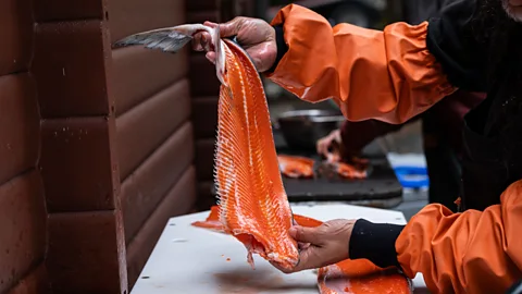 Della Stroh Native Alaskans are turning more to other species – like duck or beaver – to supplement their diet (Credit: Della Stroh)