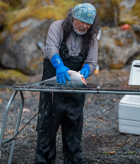 Della Stroh Wild salmon face "death by a thousand cuts", says Peter Westley (Credit: Della Stroh)