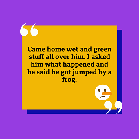 'Came home wet and green stuff all over him. He said he got jumped by a frog.'