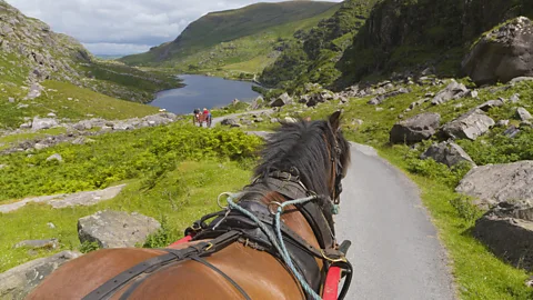 Getty Images Visitors can explore the national park in a horse-drawn jaunting car (Credit: Getty Images)