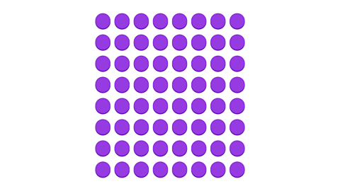 Eight counters arranged in eight rows to form a square.