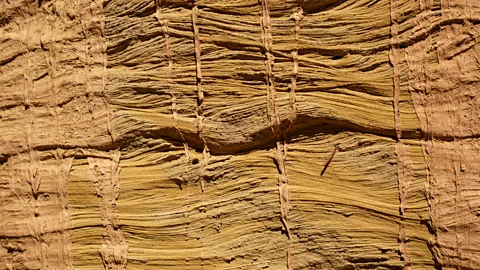 Travis Custer The riverbanks are lined with walls of dried sediment, some up to 50ft high (Credit: Travis Custer)