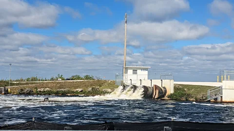 Lucy Sherriff Flood gates along the Tamiami Trail send water into a canal, which will eventually drain into Biscayne Bay (Credit: Lucy Sherriff)