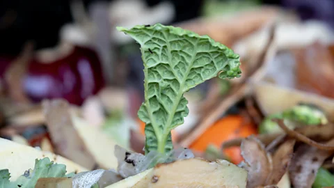 Getty Images Food that goes to landfill releases methane, one of the most damaging greenhouse gases (Credit: Getty Images)