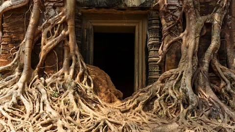 Alamy Prasat Pram is a vine-strangled resthouse found along the East Royal Road (Credit: Alamy)