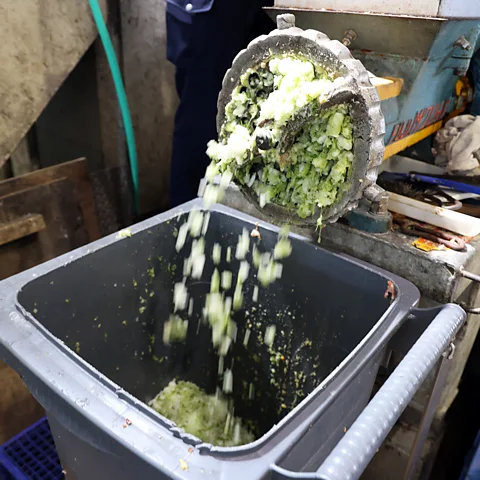 Rachel Nuwer Food scraps are shredded before being sterilised and fed into huge fermentation tanks (Credit: Rachel Nuwer)