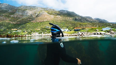 Pier Nirandara A diver half-submerged in water off the coast of Cape Town (Credit: Pier Nirandara)