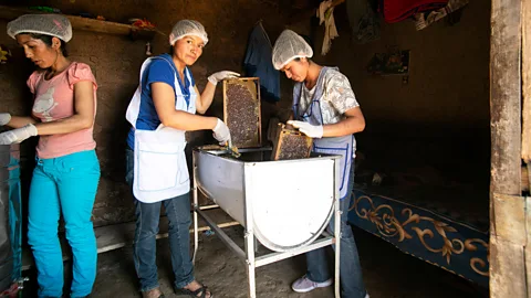 Oscar Orozco Beekeeping provides families with an alternative income stream, making them less reliant on livestock farming (Credit: Oscar Orozco)