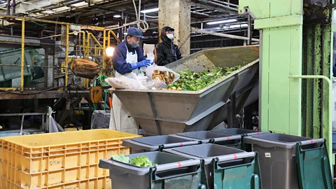 :Rachel Nuwer The food is sorted by hand when it arrives at the processing facility – and it receives around 40 tonnes per day (Credit: Rachel Nuwer)