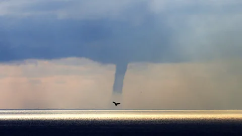 Getty Images Μια μπλε στήλη αέρα και ομίχλης πάνω από τη θάλασσα, που ονομάζεται waterspout, με τη σιλουέτα ενός πουλιού (Credit: Getty Images)