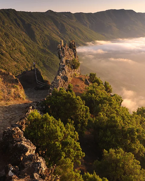 El Hierro Tourist Board The island’s dramatic topography includes sheer cliffs, arid volcanic cones and evergreen forests (Credit: El Hierro Tourist Board)