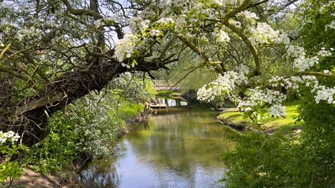 Claire Boobbyer The Waveney was Deakin's favourite river, but few Brits have heard of it (Credit: Claire Boobbyer)