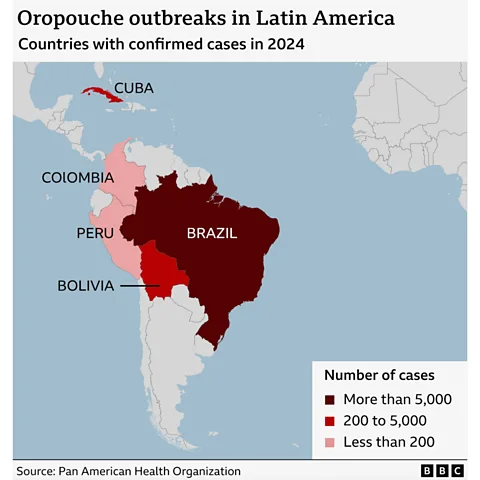 Oropouche is spreading to areas outside the Amazon basin (Credit: BBC)