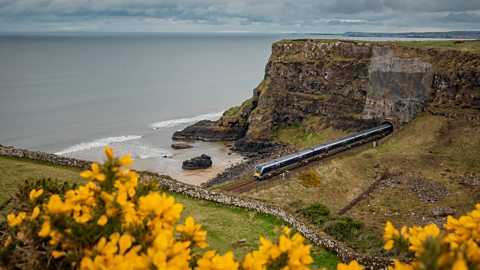 Train going past a beach