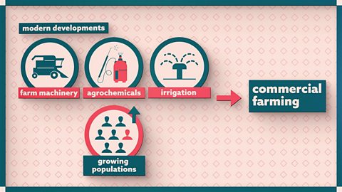 Urban Environments In Developing Countries - Human Environments: Video ...