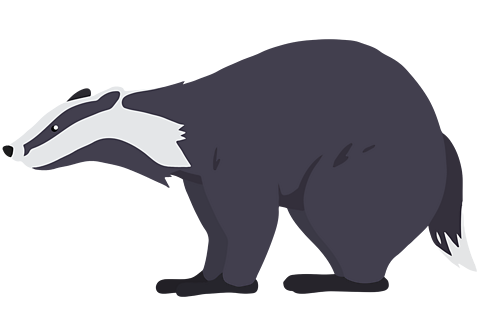 A badger