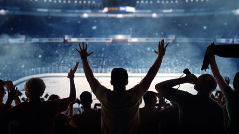 Ice hockey crowd