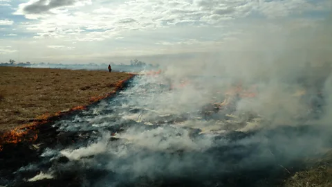 Cody Wagner A prescribed burn at Rowe Sanctuary (Credit: Cody Wagner)