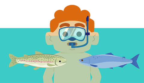 A young boy in a diving mask swimming with some fish