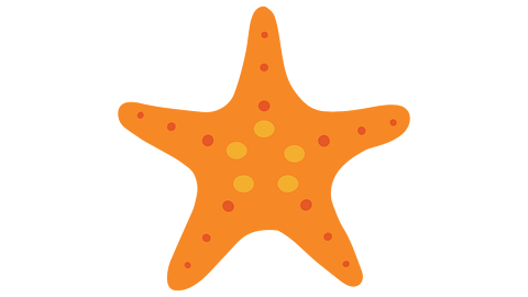 A starfish