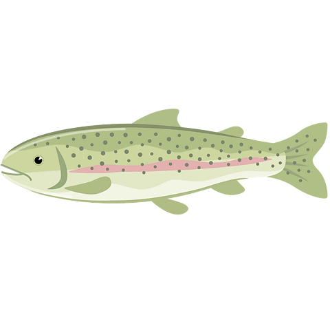 A trout