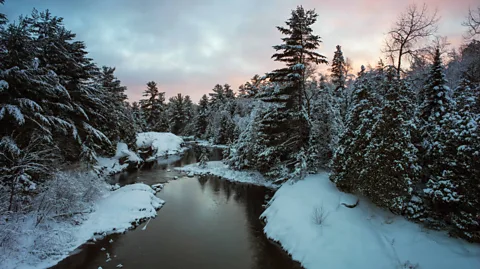 Alamy Hot tent iciness camping is no longer for the dilapidated, however it be been having a resurgence in recognition. Stroud recommends making an strive it in Temagami, Ontario (Credit score: Alamy)