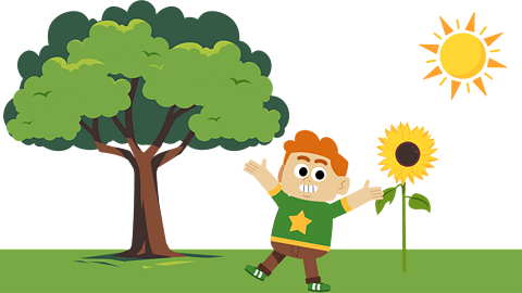 A happy looking child jigging about in front of a sunflower and a sycamore tree