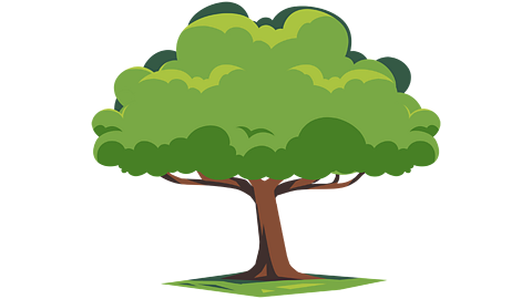 An oak tree