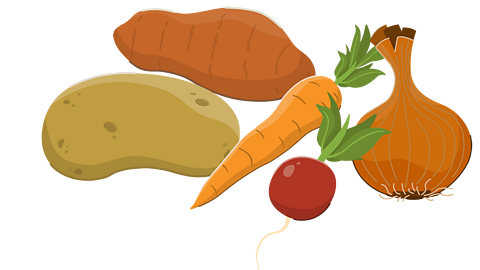 A selection of root vegetables including a potato, a sweet potato, a carrot, a radish and an onion.